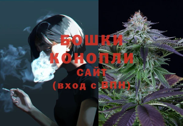 винт Горняк